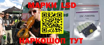 крисы Пенза