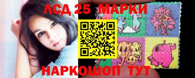 крисы Пенза