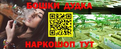 крисы Пенза