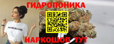 крисы Пенза
