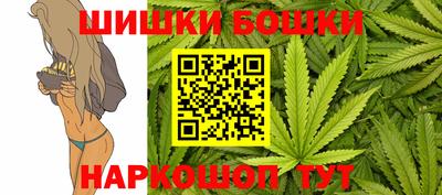 крисы Пенза