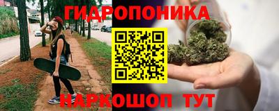 крисы Пенза