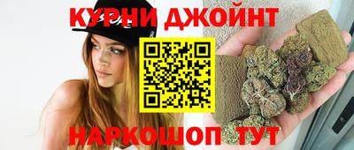 крисы Пенза