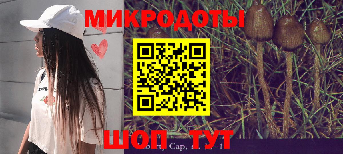 Галлюциногенные грибы GOLDEN TEACHER Санкт-Петербург