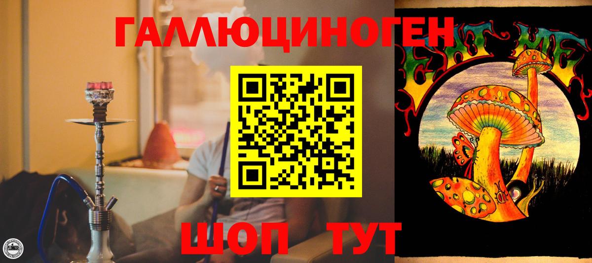Санкт-Петербург  магазин продажи   Вход с VPN  Галлюциногенные грибы GOLDEN TEACHER 